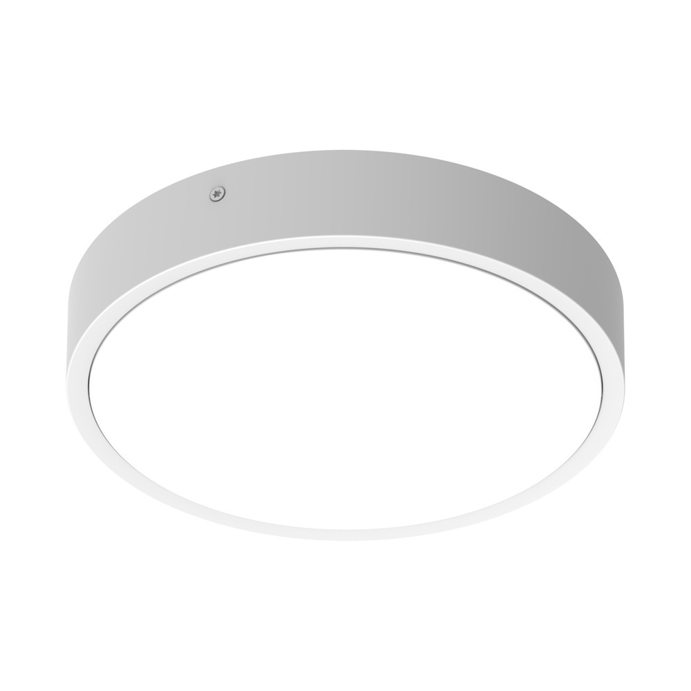 Ledvance Osram Robuste Wand und Deckenleuchte 286186