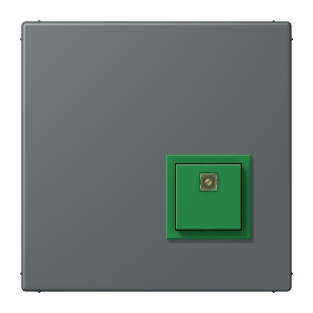 Jung Notrufsystem Abstelltaster NRSLC0834AT202