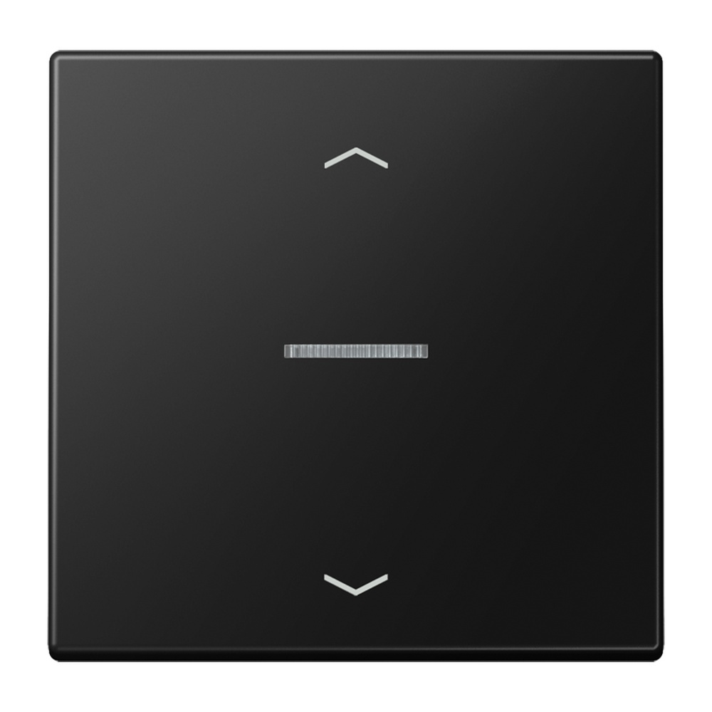 Jung Wippe m. Lichtleiter LS101KO5PSWM