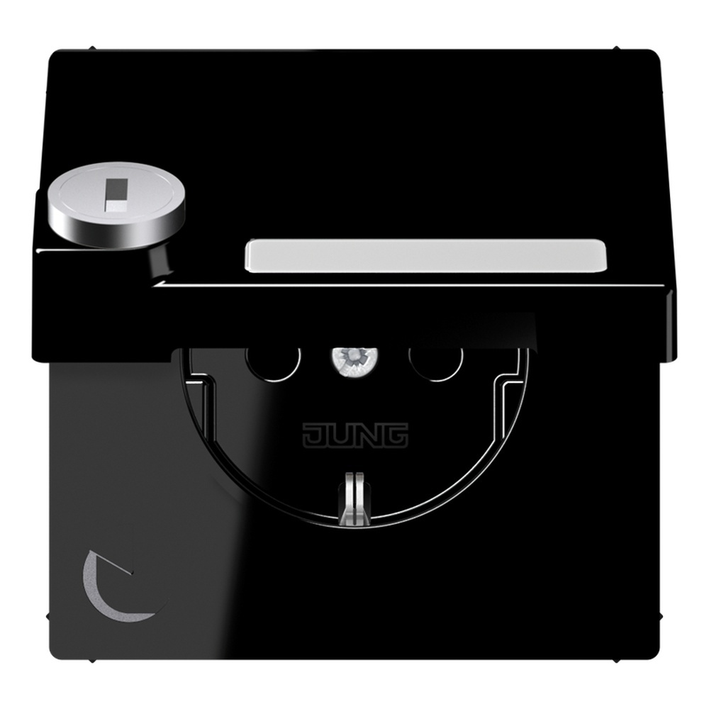 Jung Schutzkontakt Steckdose LS 1520 NAKLSL SW Jung Schutzkontakt Steckdose LS 1520 NAKLSL SW