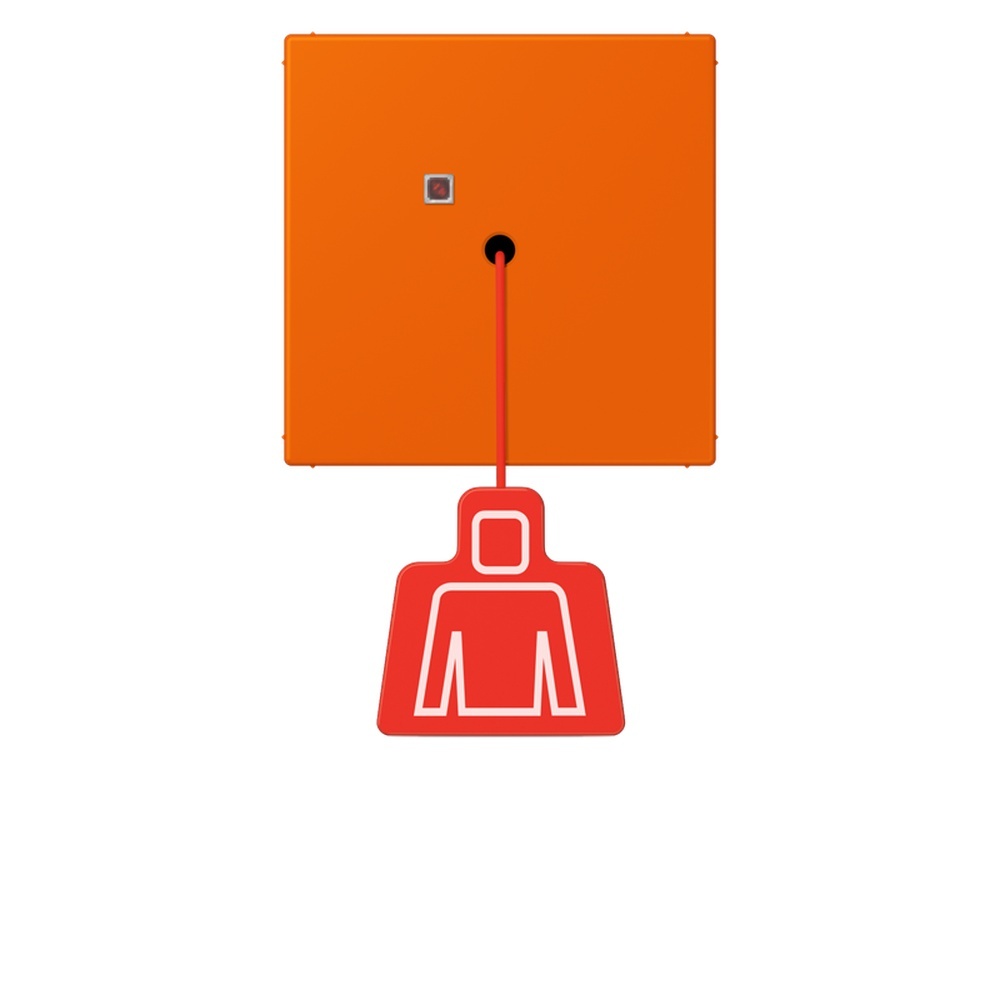 Jung Notrufsystem Zugtaster NRSLC0834ZT224