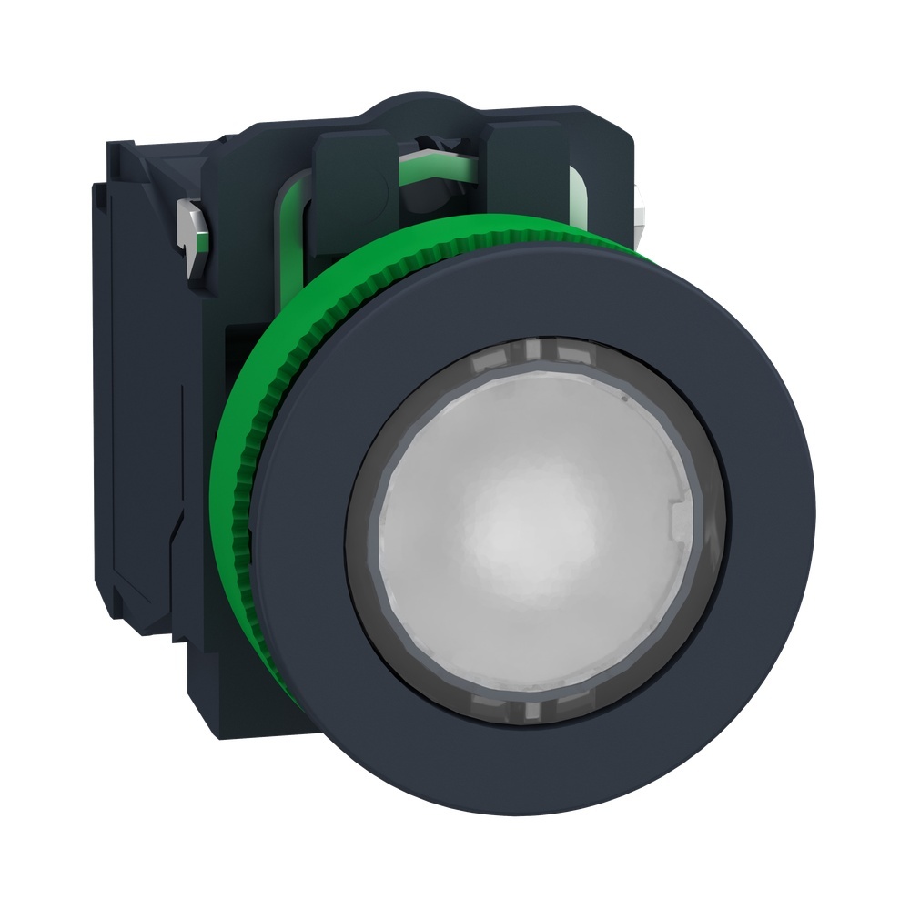 Schneider Electric Leuchtdrucktaster XB5FWCUST01