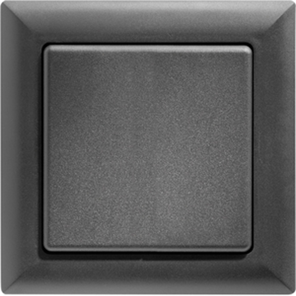 ELTAKO Funktaster 30000597 Typ FT55-an