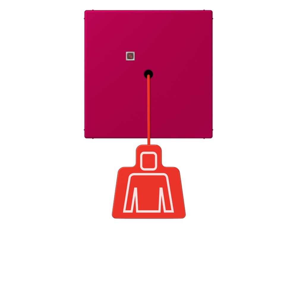 Jung Notrufsystem Zugtaster NRSLC0834ZT230