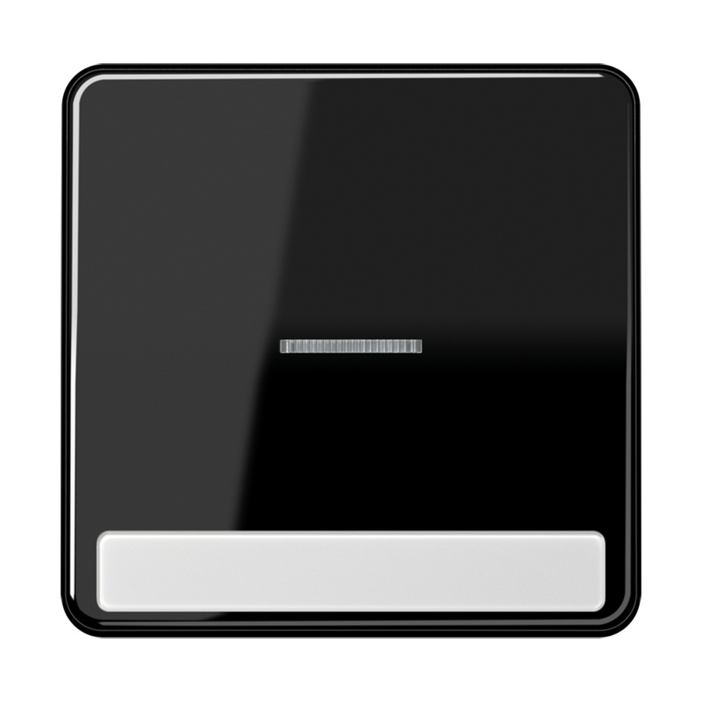 Jung Wippe CD 590 NAKO5 SW