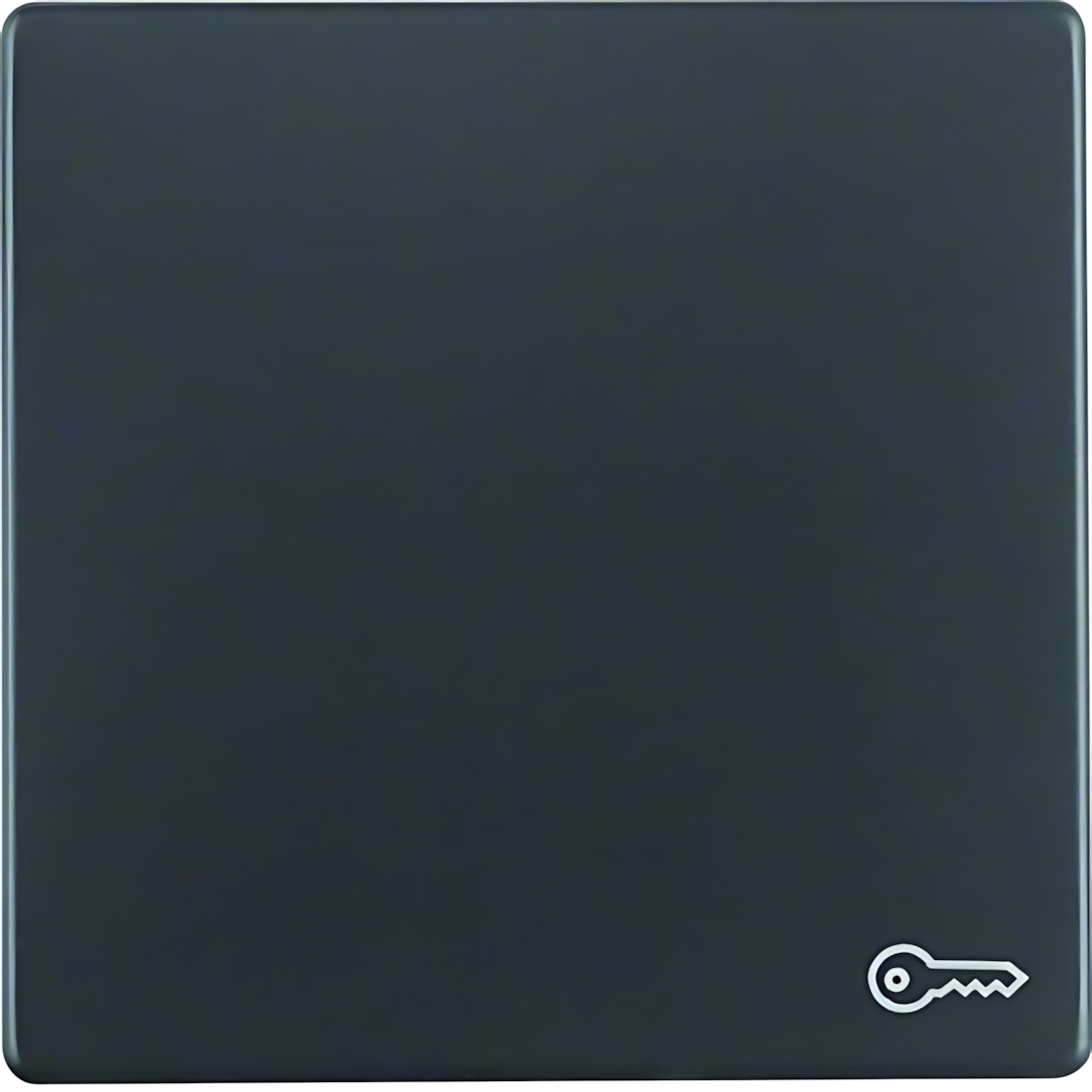 Berker Wippe 16206066 Berker Wippe 16206066