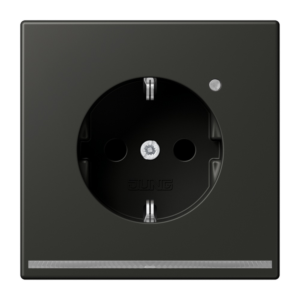 Jung SCHUKO Steckdose AL1520-OANLNW Jung SCHUKO Steckdose AL1520-OANLNW