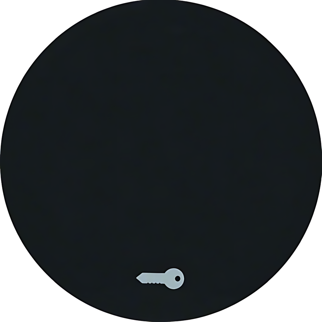 Berker Wippe 16202015