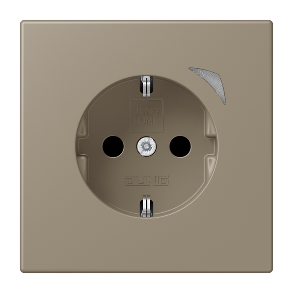 Jung JUNG HOME SCHUKO Steckdose BTLC1521SE242
