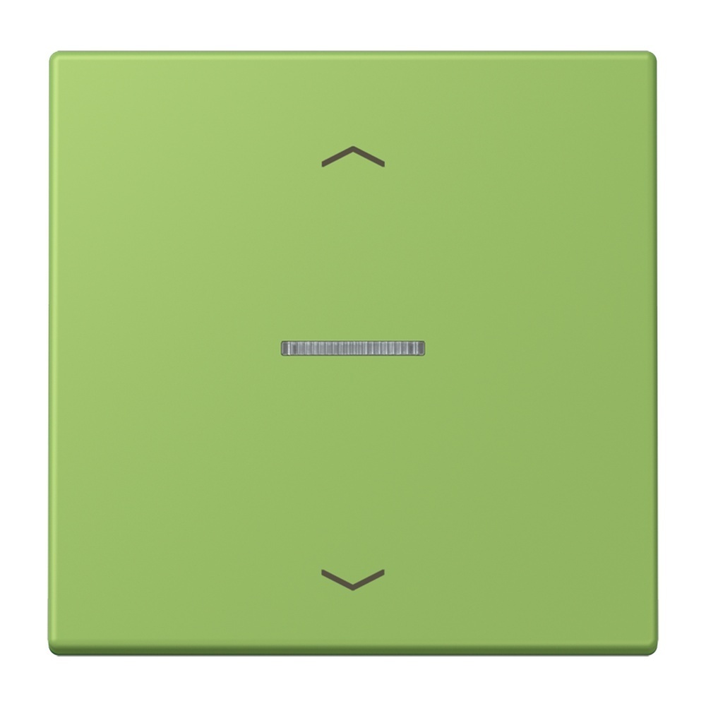 Jung Taster FMLC1700P220