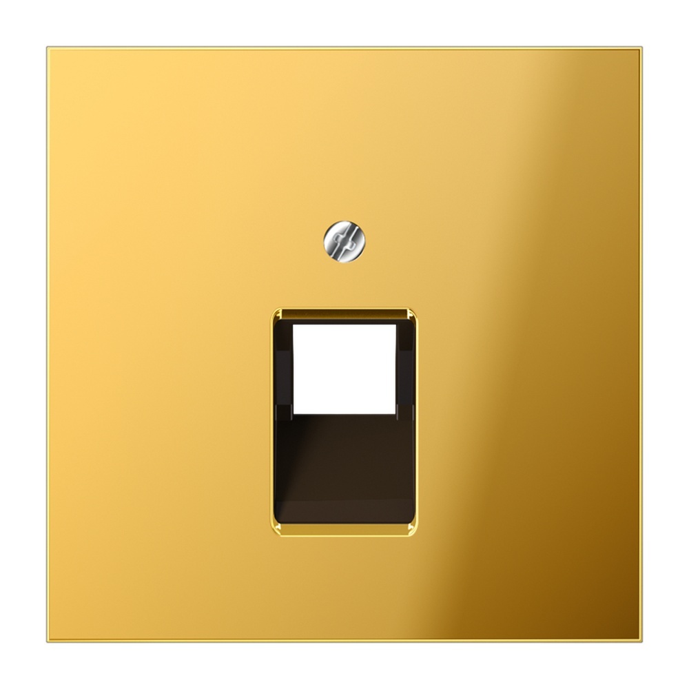 Jung Abdeckung IAE/UAE GO 2969-1 UA