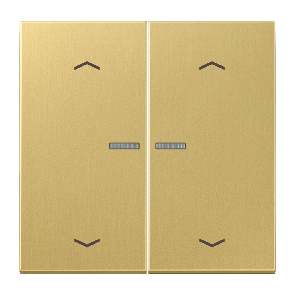 Jung Serienwippe m. Lichtleiter ME102KO5PC
