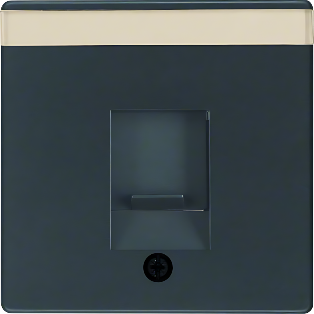 Berker Zentralstück 11706086 Berker Zentralstück 11706086