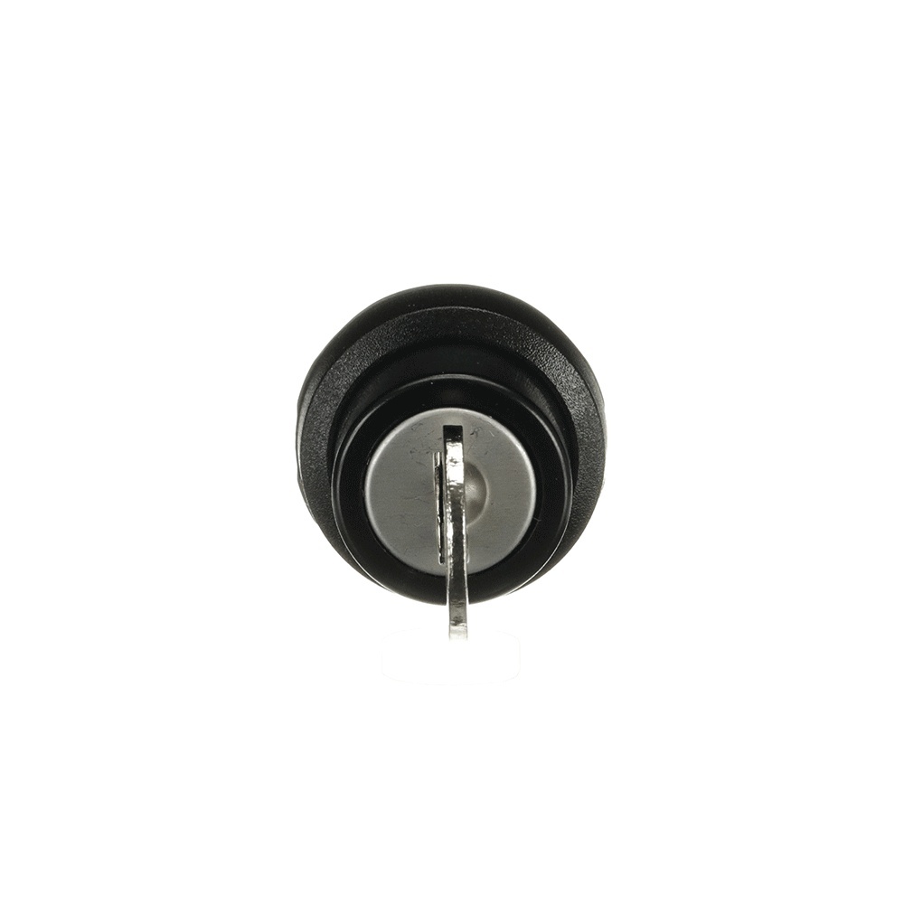 ABB Frontelement für Wahlschalter 1SFA611282R1001 Typ M2SSK3-101