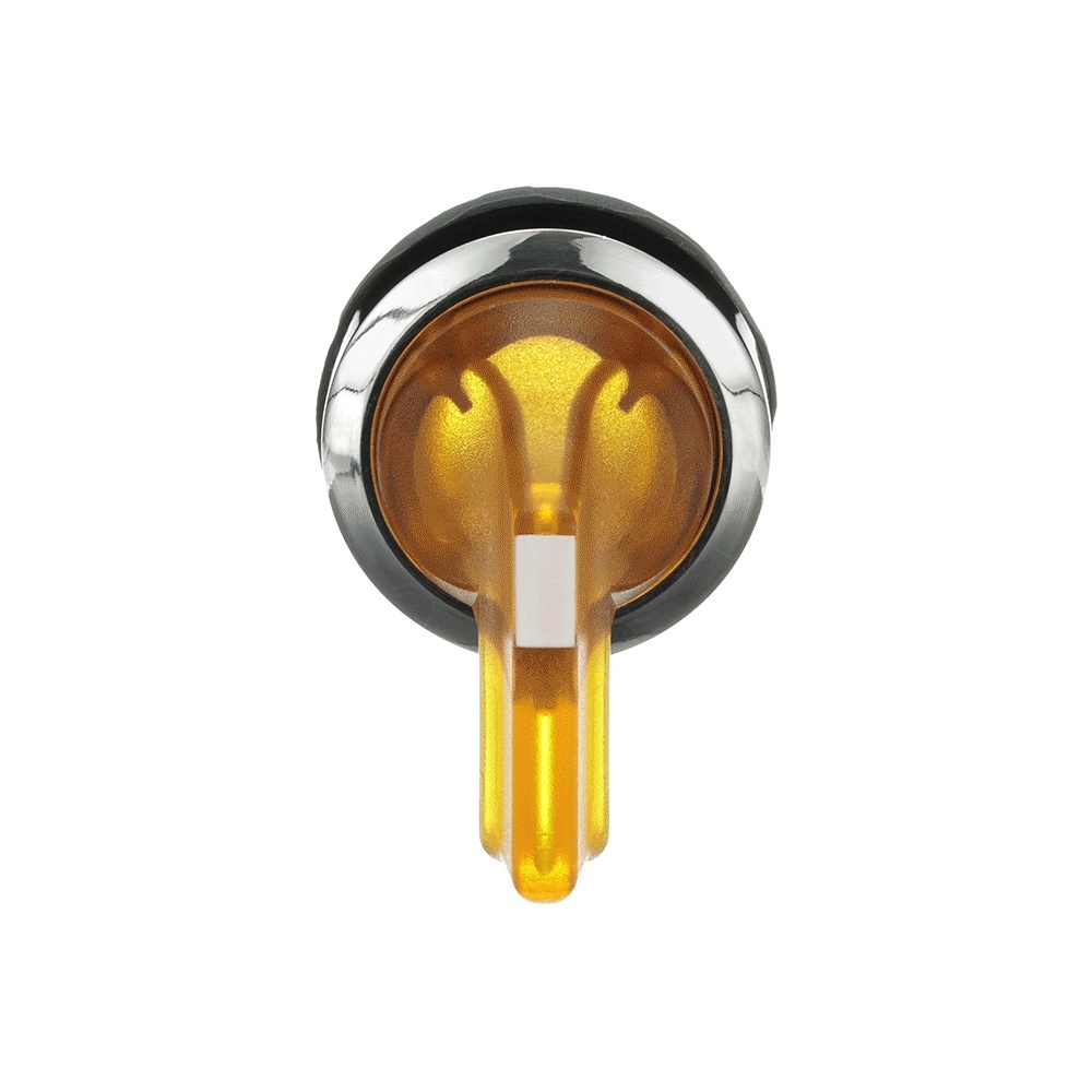 ABB Frontelement für Wahlschalter 1SFA611204R3103 Typ M2SS5-31Y