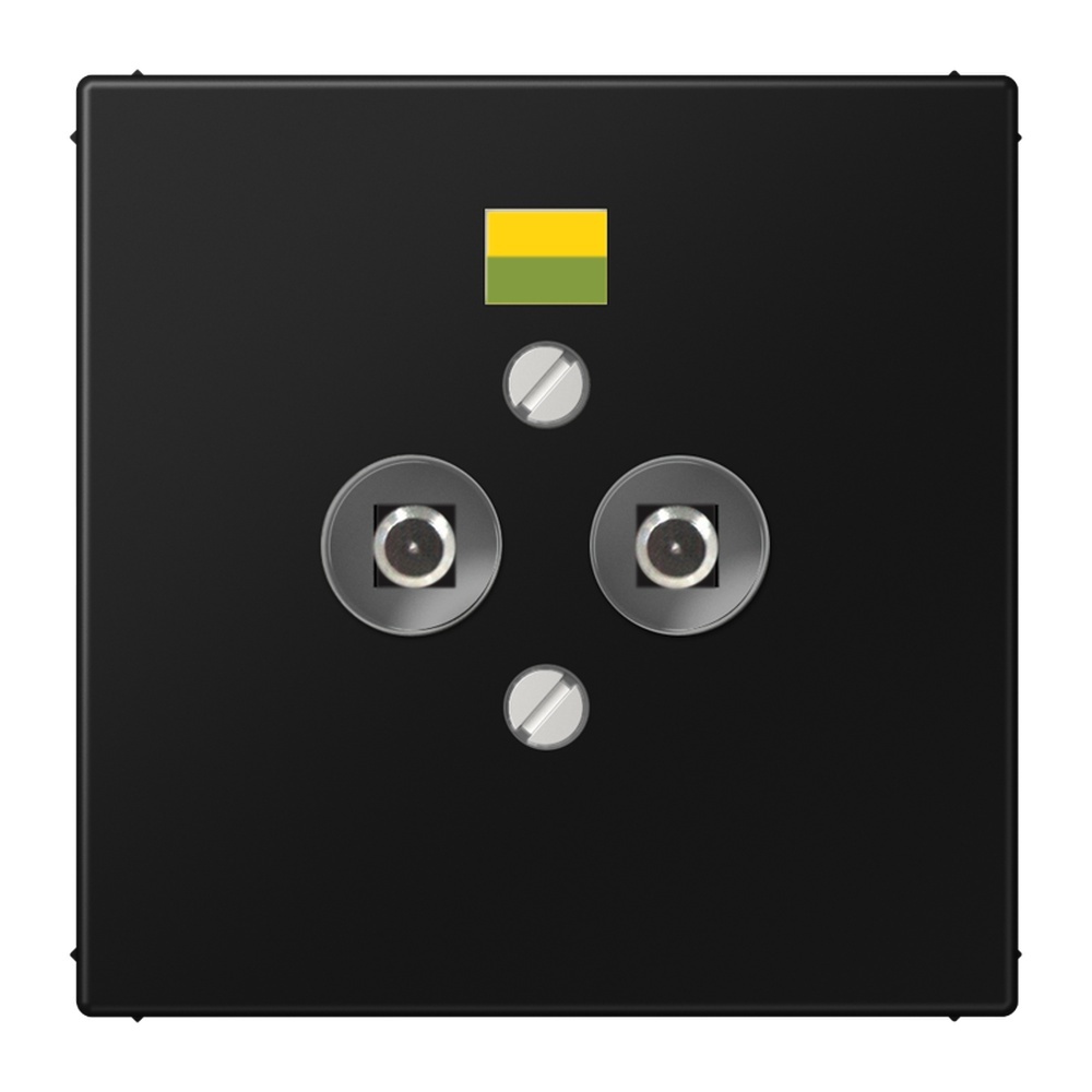 Jung Potentialausgleich Steckdose LS 965-2 SW
