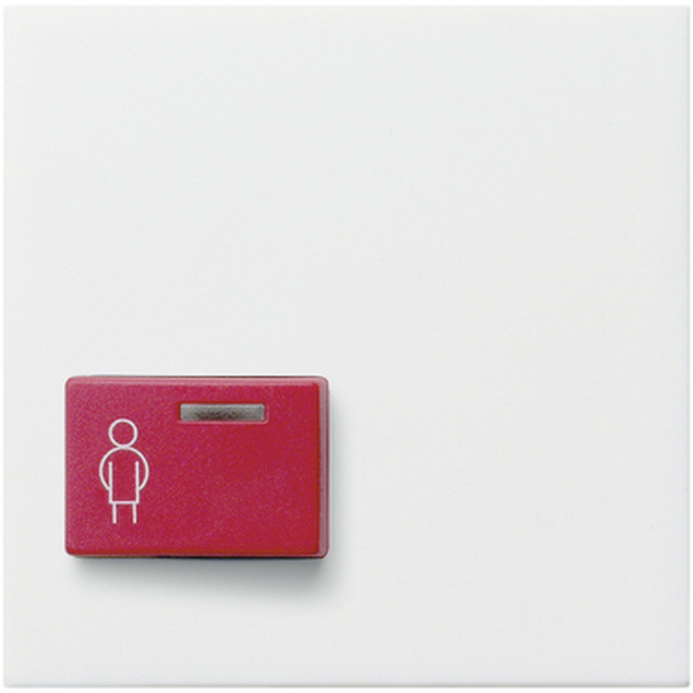 Gira Abdeckung Ackermann 022903
