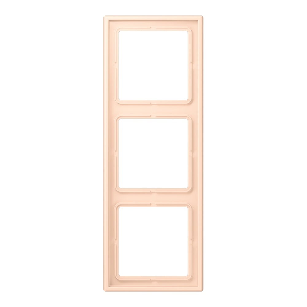 Jung Rahmen LC983228