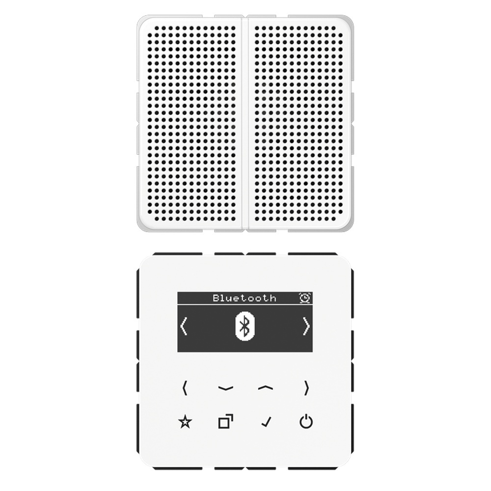 Jung Smart Radio DABCD1BTWW