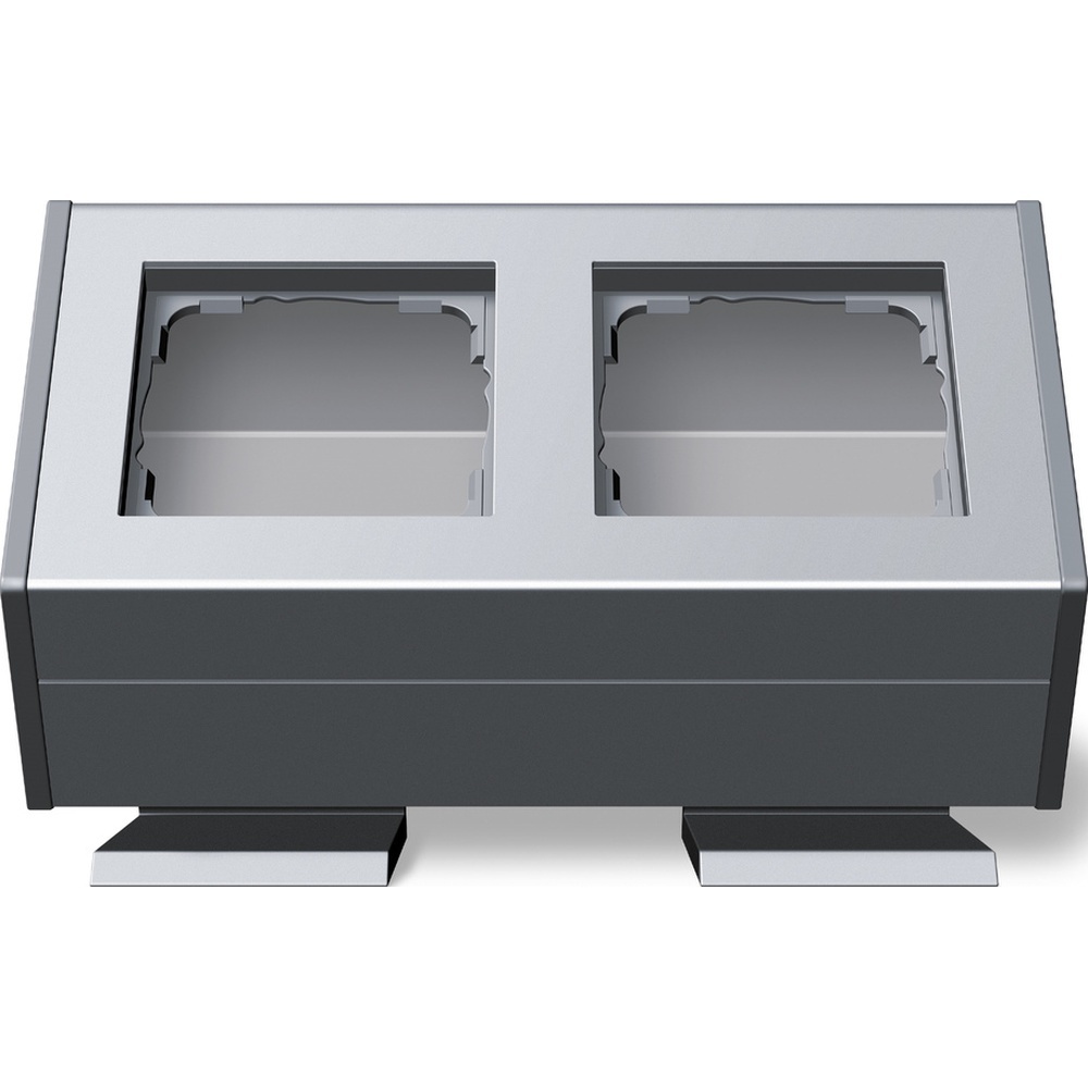 Gira 2fach m. Befestig.winkel 119226
