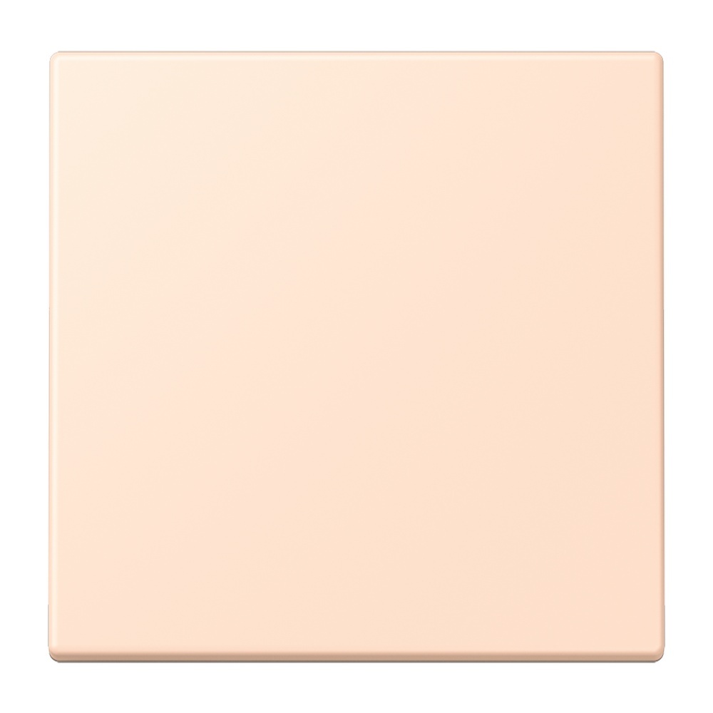 Jung Management Taster 1fach LC1700228