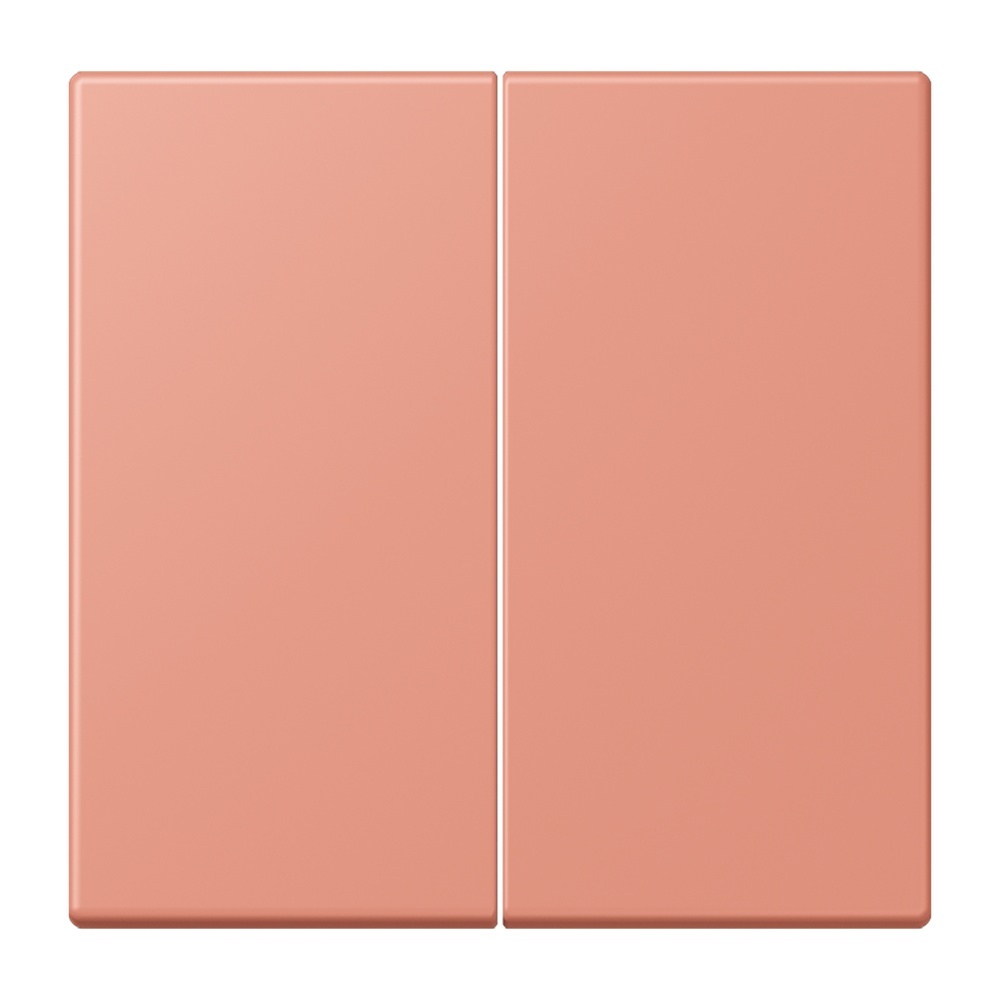 Jung Management Taster 2fach LC1702233