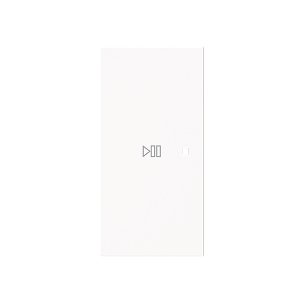 Busch-Jaeger Wippe 6237-21-44G Typ 2CKA006220A0976