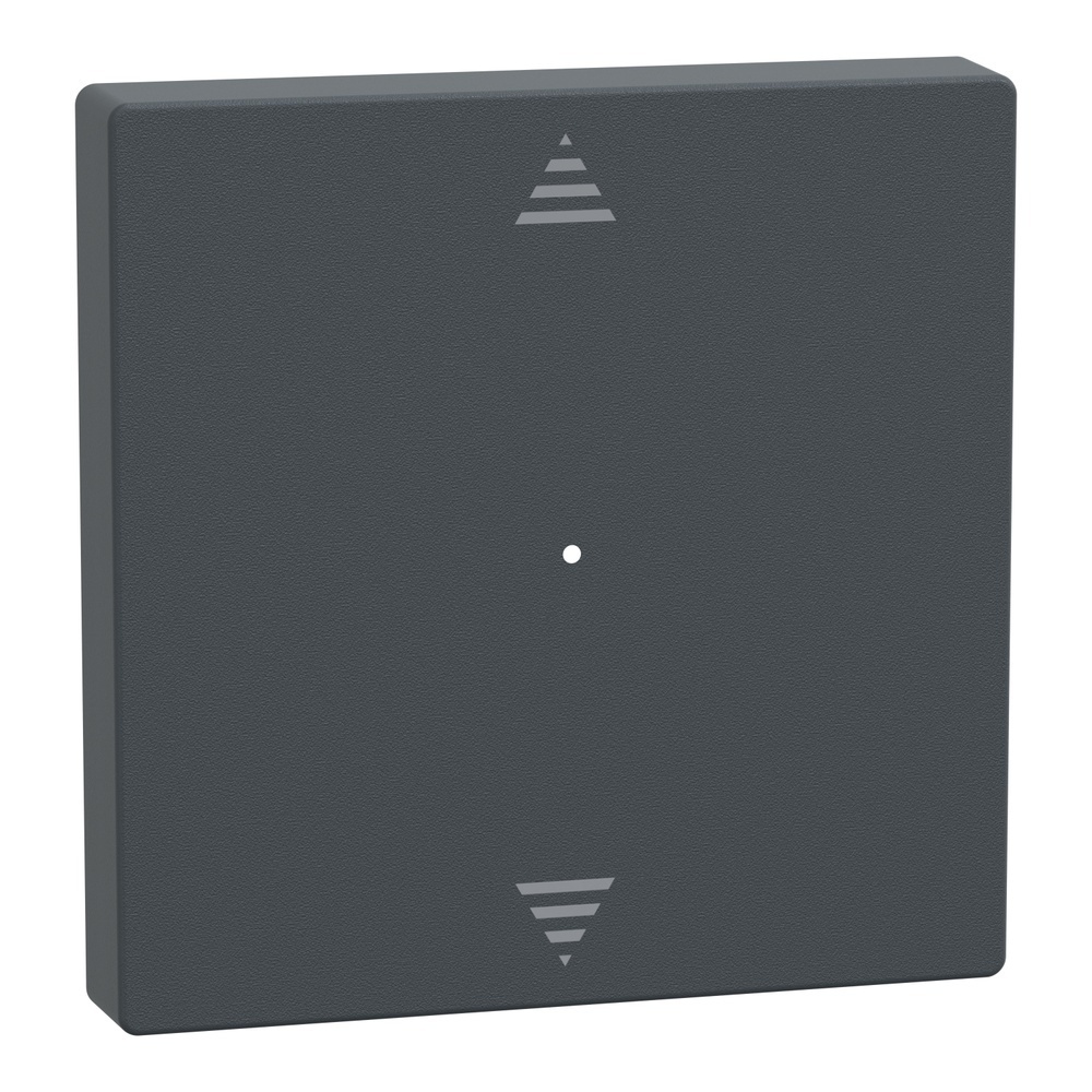 Merten Wippe MEG5215-0414