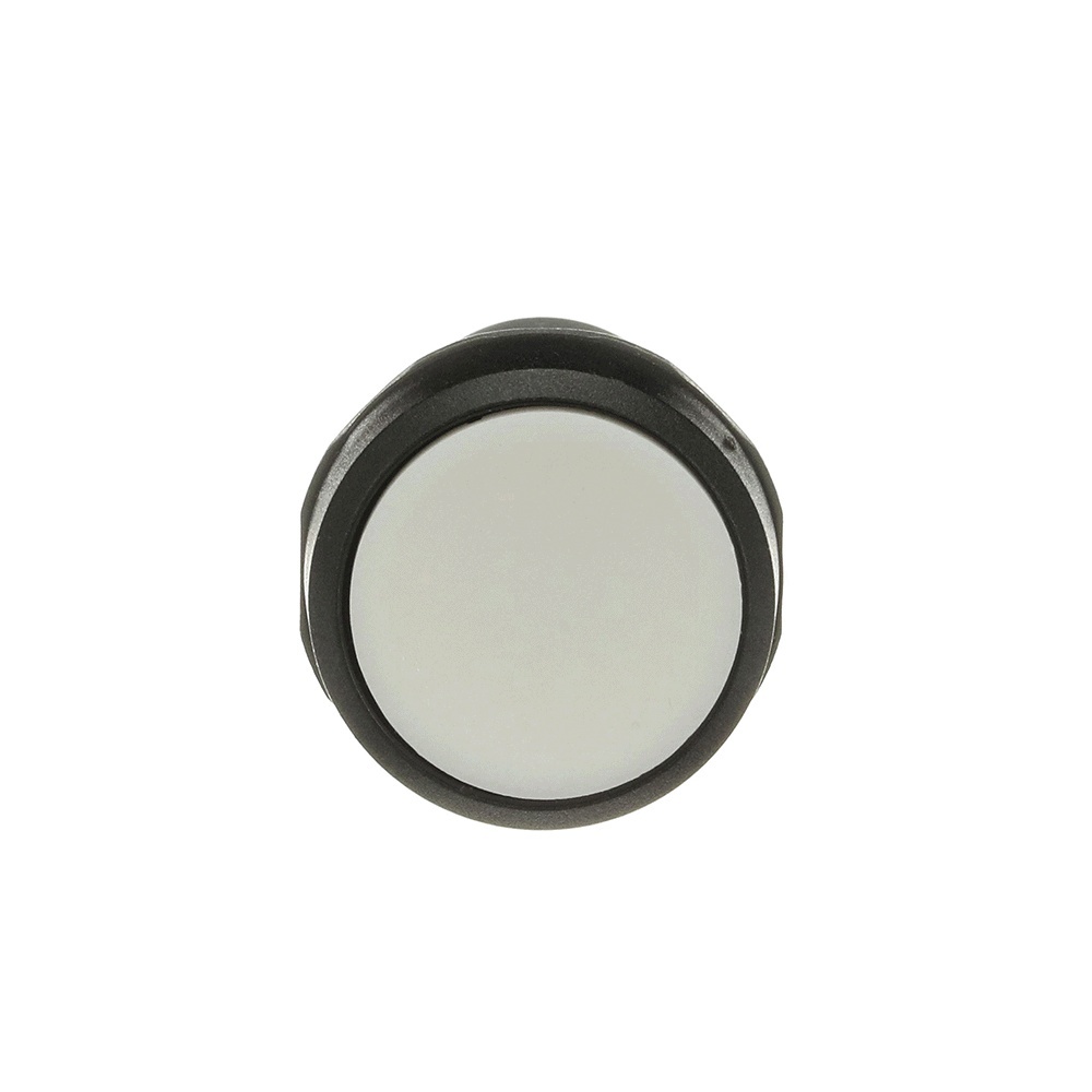 ABB Drucktaster 1SFA619100R1025 Typ CP1-10W-20