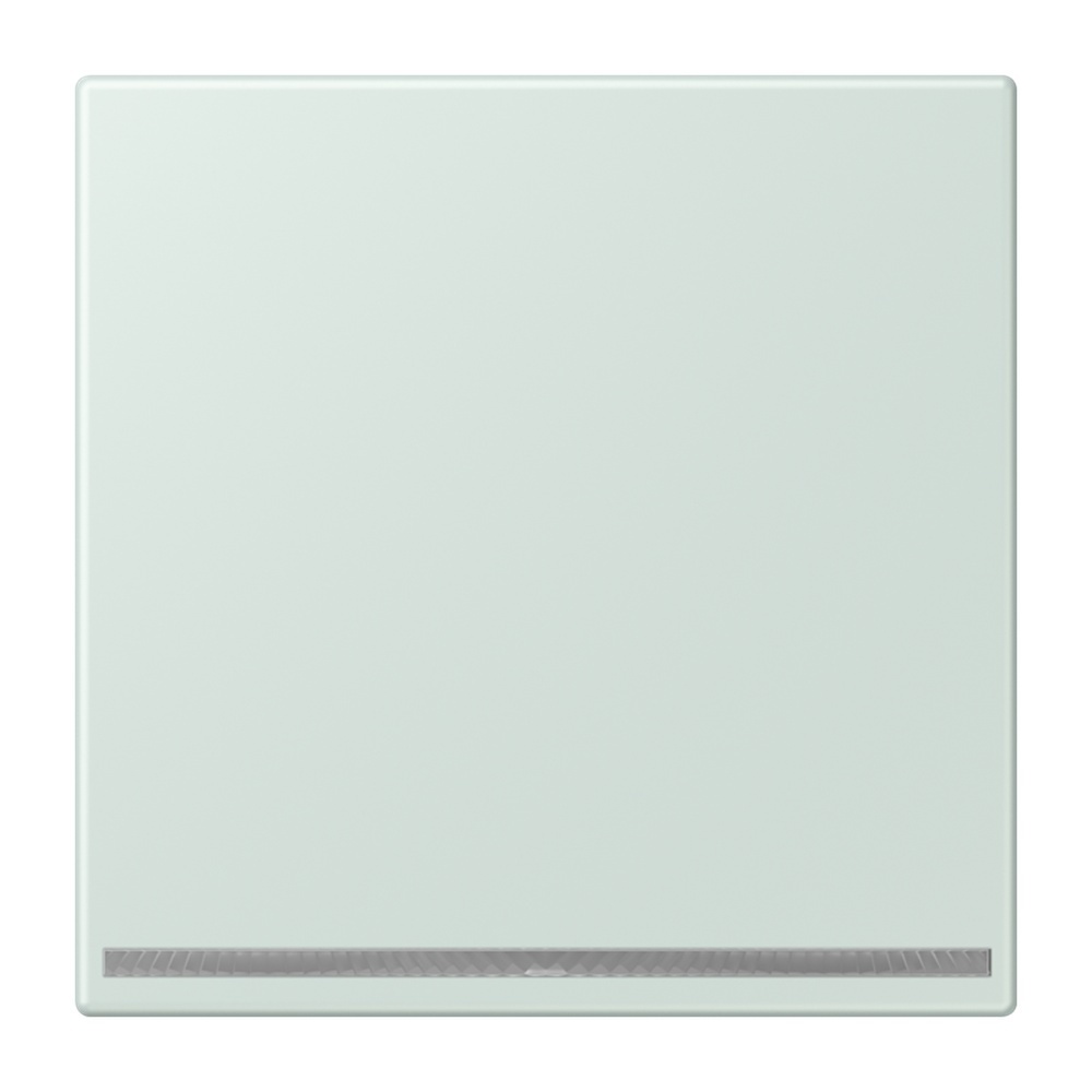 Jung LED Orientierungslicht LC1539-OOLNW215