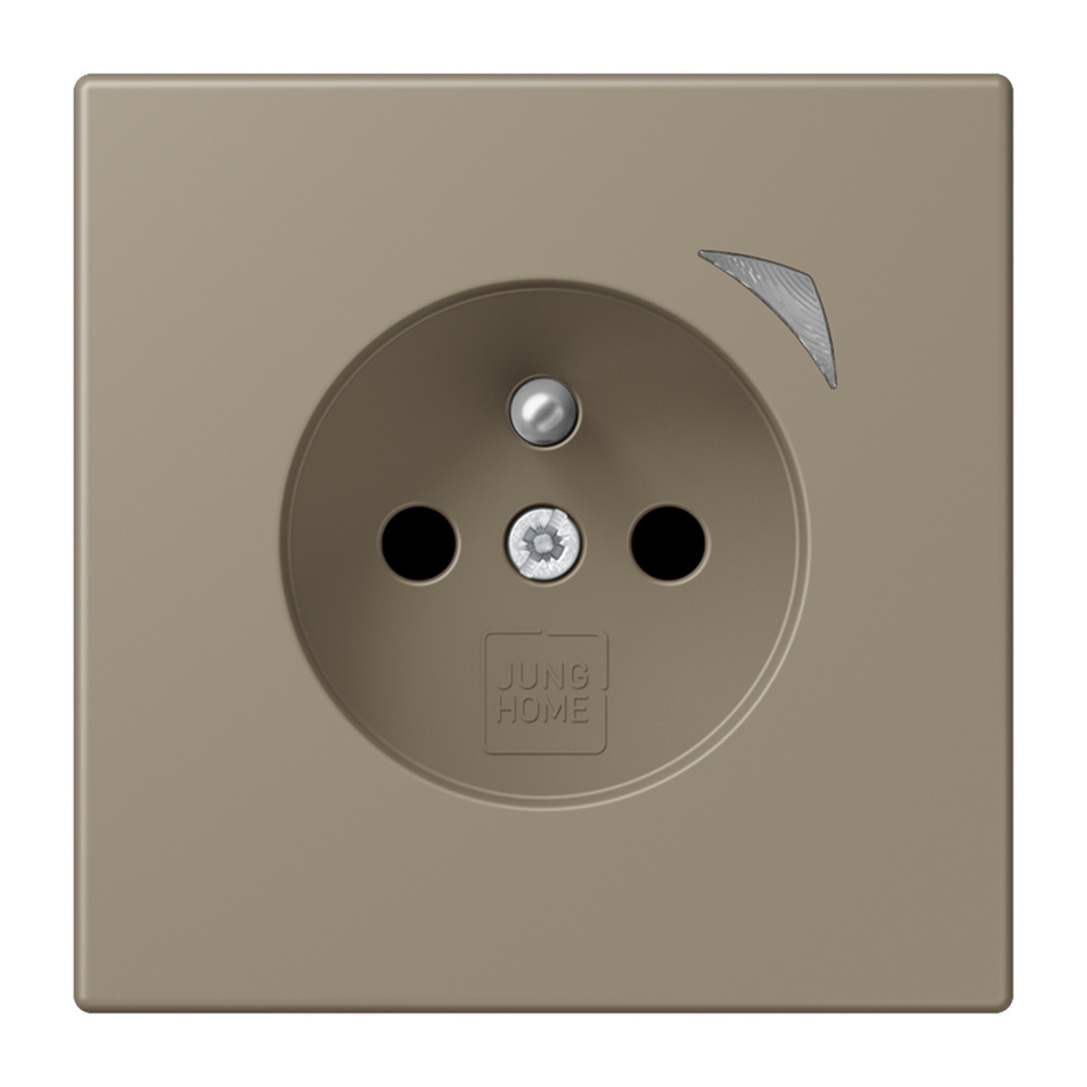 Jung Steckdose BTLC1521FS242