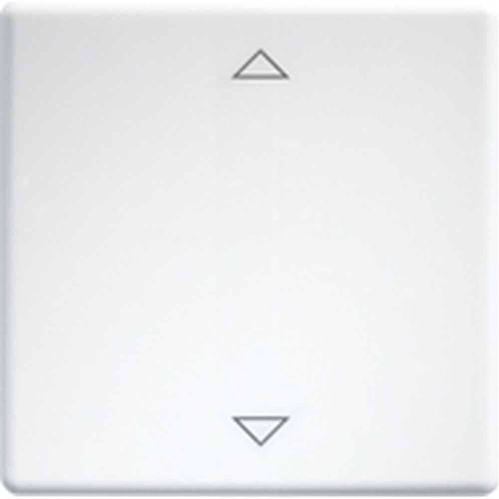 ELTAKO Wippe 30000982 Typ W-FT55-rw+2P
