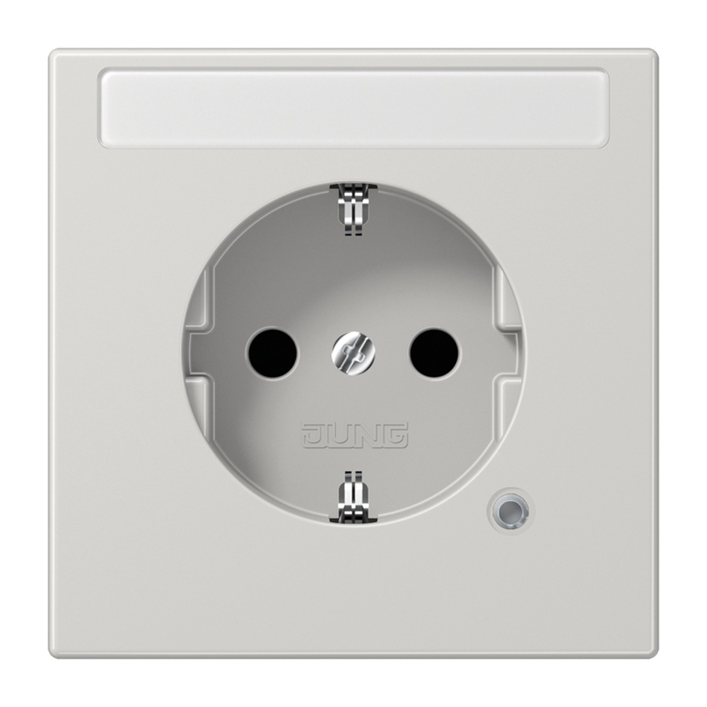 Jung Schutzkontakt Steckdose LS 1520 NAKO LG