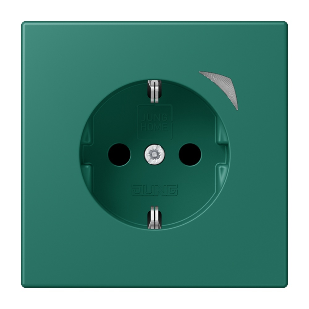 Jung JUNG HOME SCHUKO Steckdose BTLC1521SE216