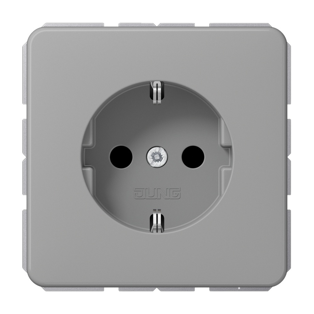 Jung SCHUKO Steckdose CD1521BFGR