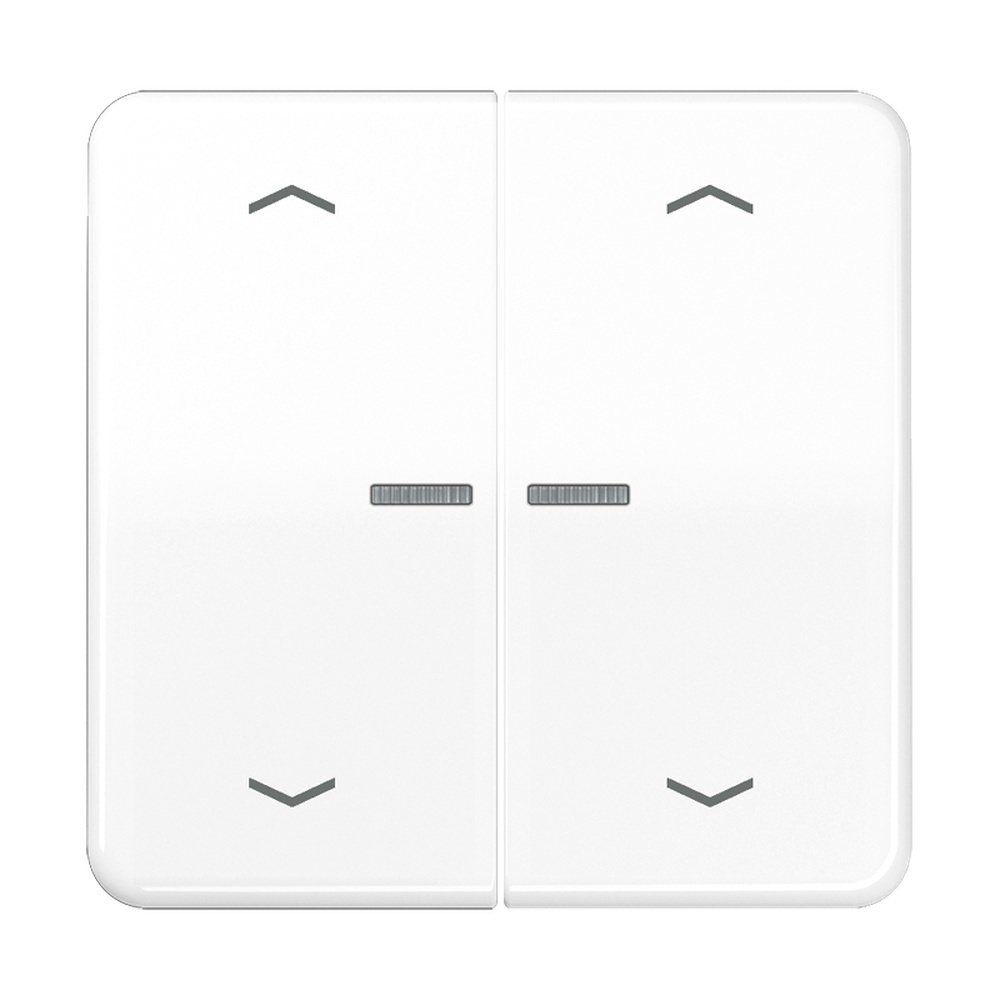 Jung Serienwippe m. Lichtleiter CD102KO5PWW