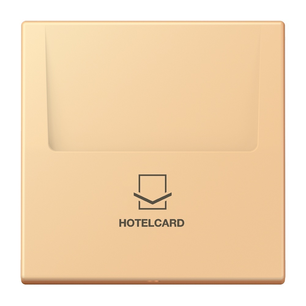 Jung Hotelcard Schalter LC590CARD258