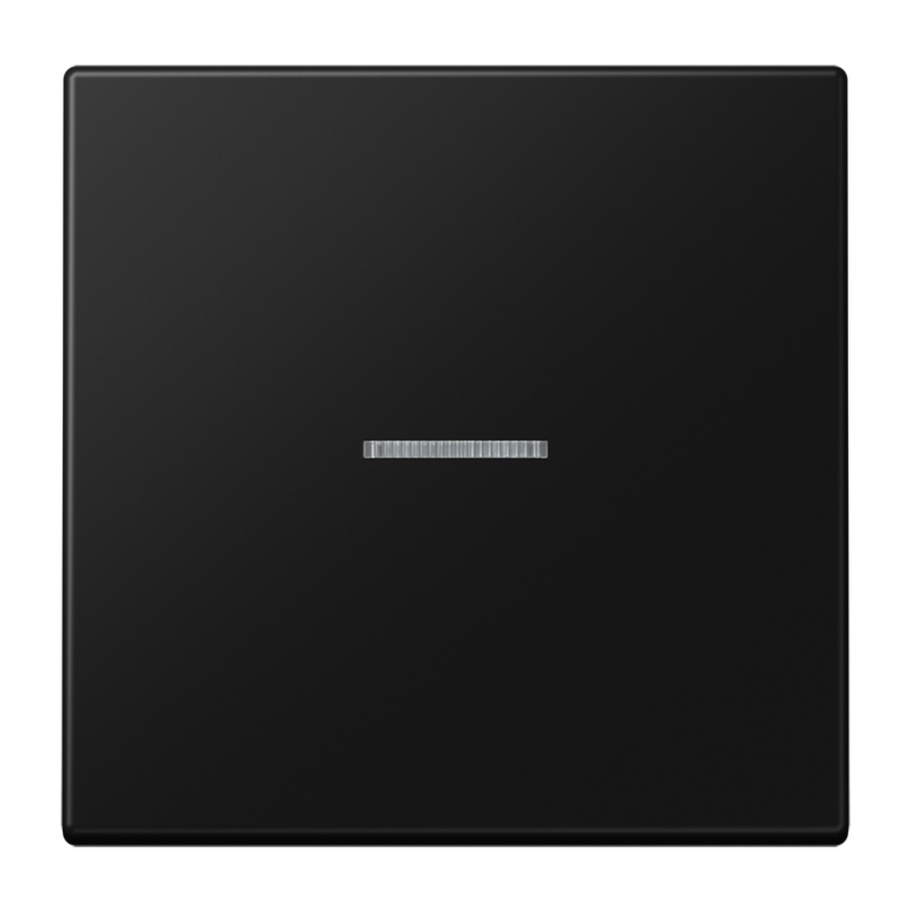 Jung KNX RF Taster 1fach LS10911STRFSWM