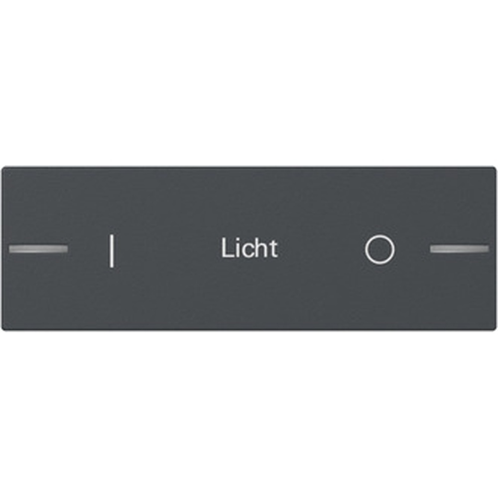 Gira Wippe für Wippenset 862328