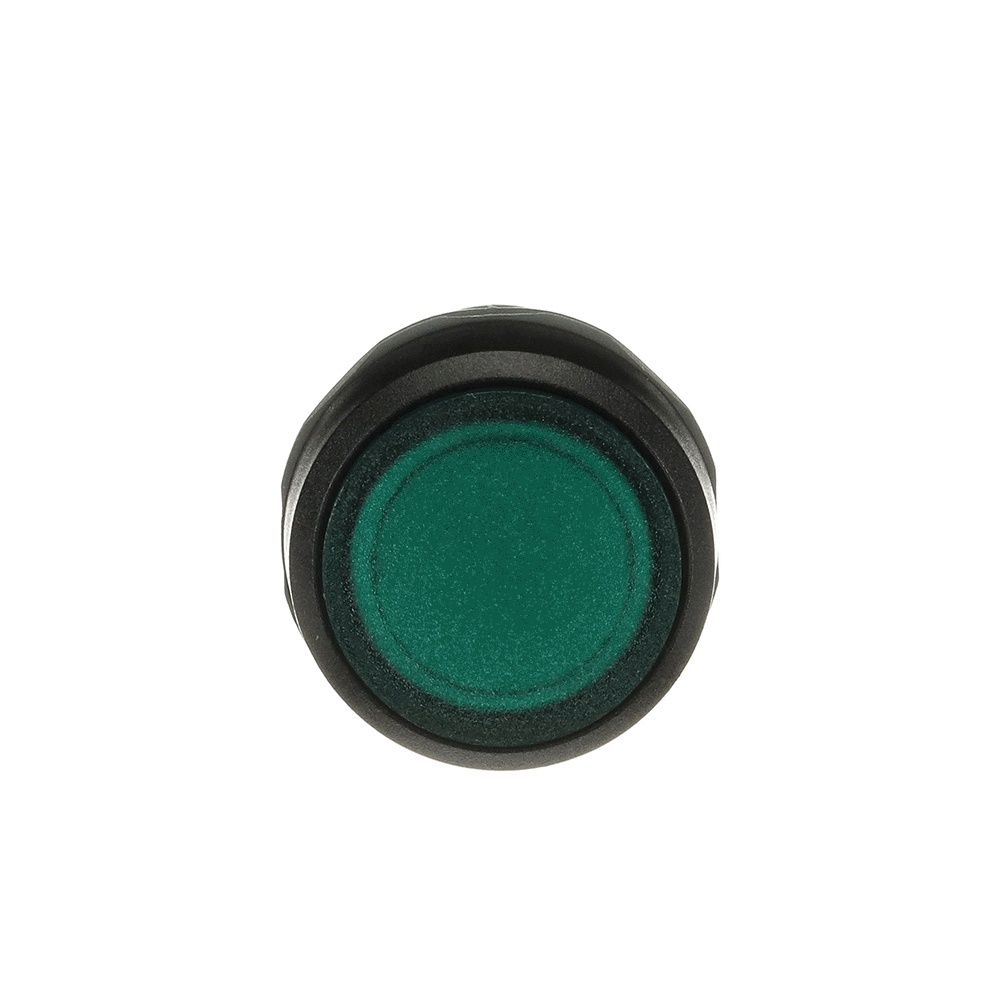 ABB Leuchtdrucktaster 1SFA619101R1212 Typ CP2-12G-10