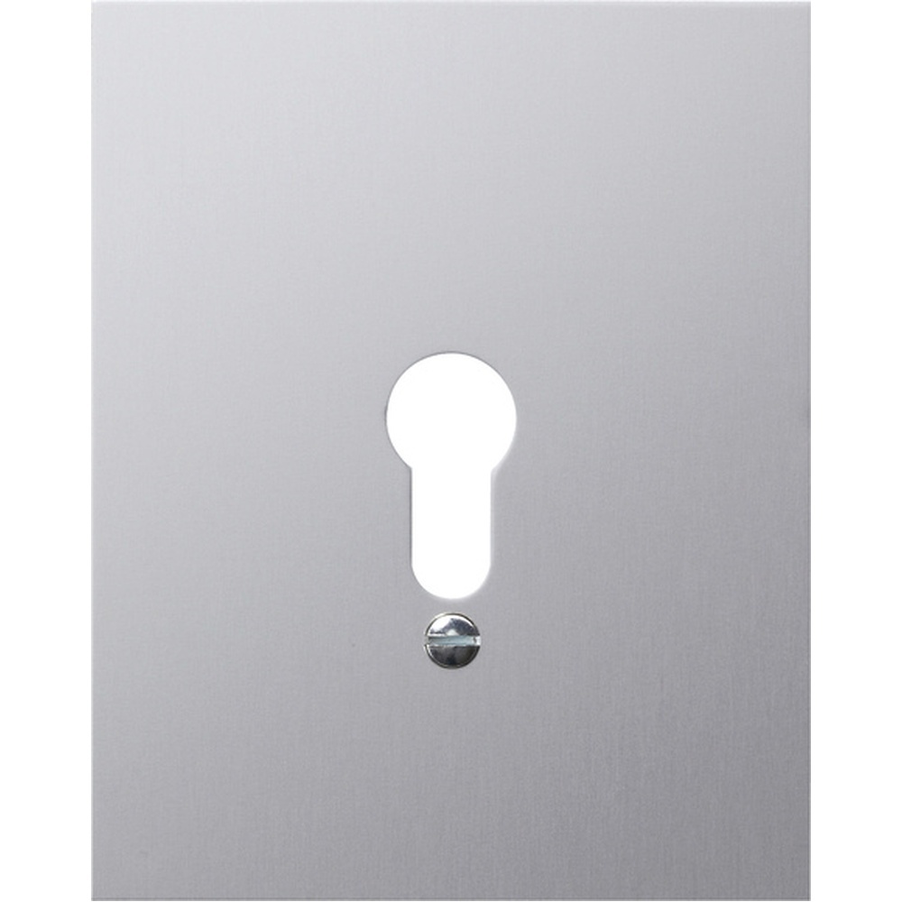 Gira Abdeckrahmen 009830