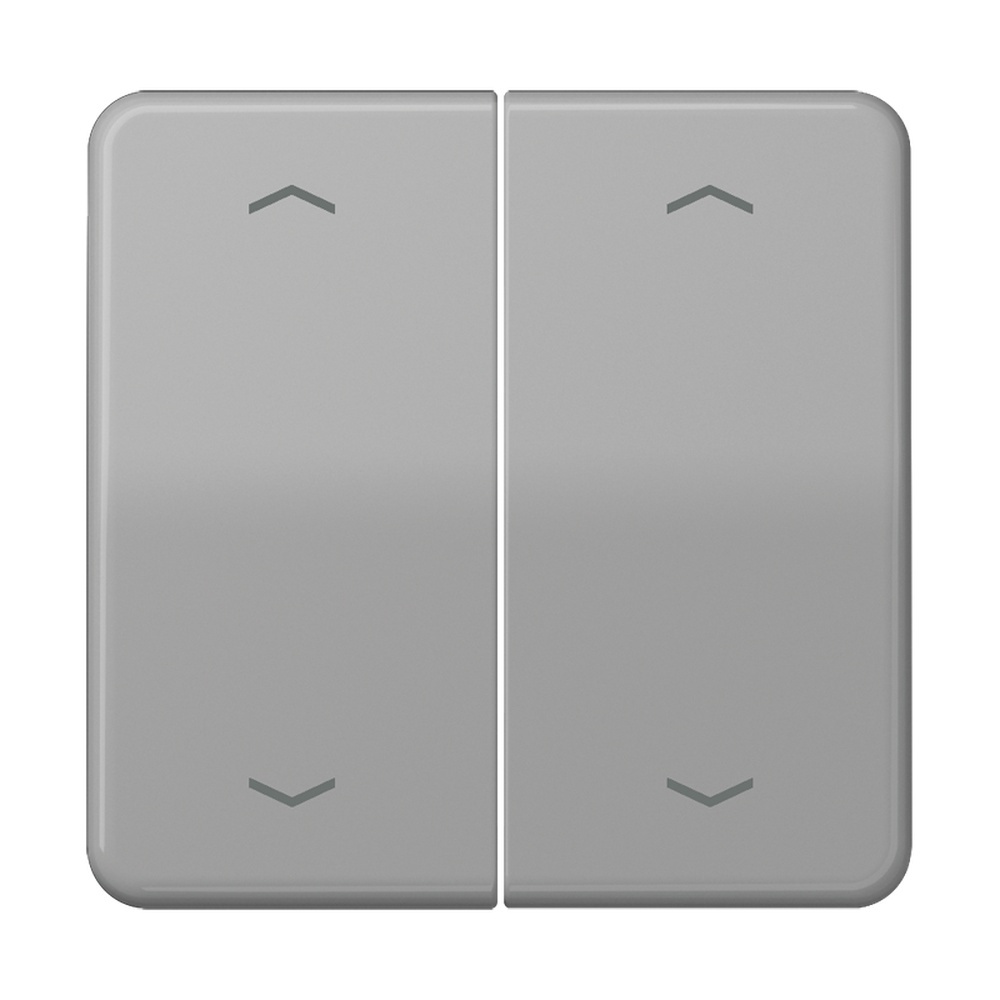Jung Serienwippe CD102PGR