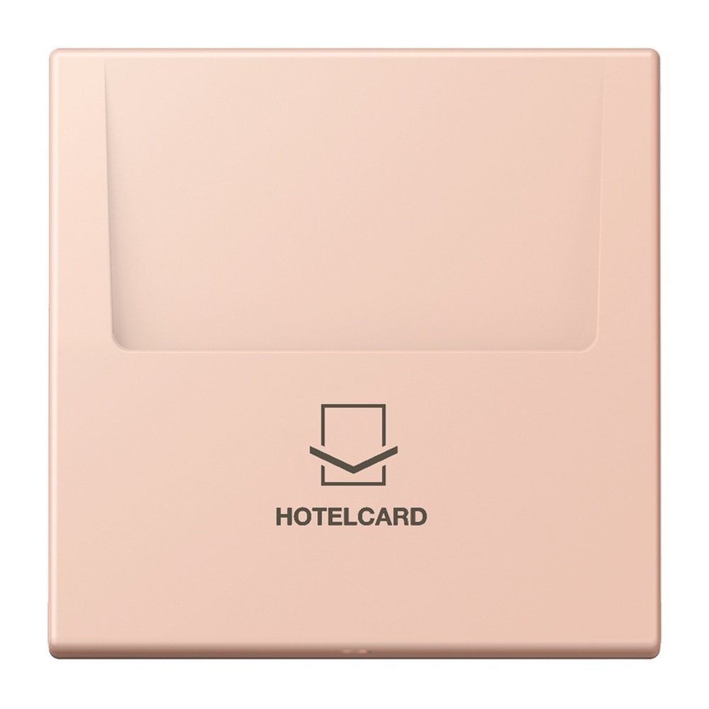 Jung Hotelcard Schalter LC590CARD234