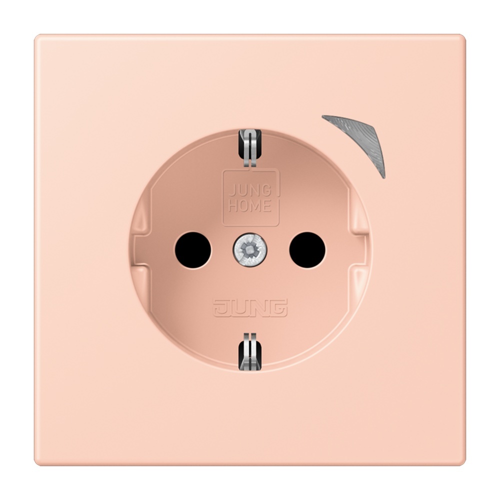 Jung JUNG HOME SCHUKO Steckdose BTLC1521S234