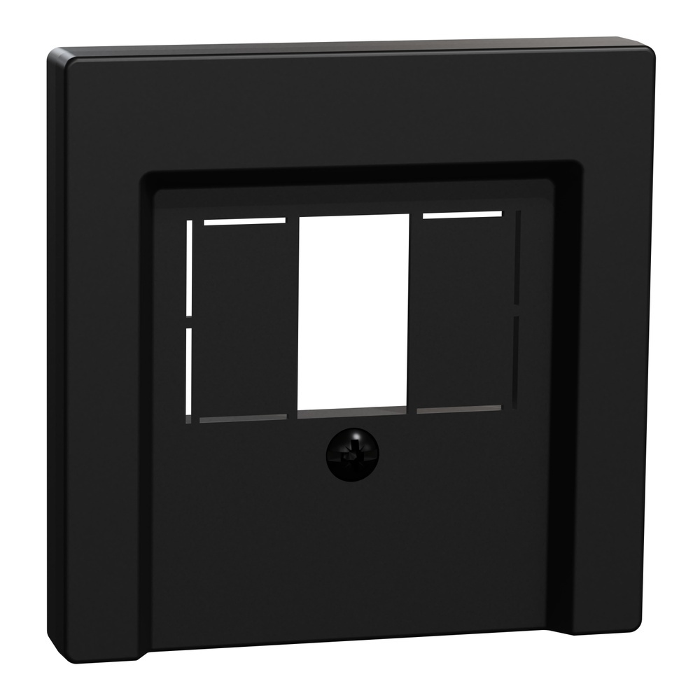 Merten Zentralplatte für TAE Audio USB MEG4250-0403