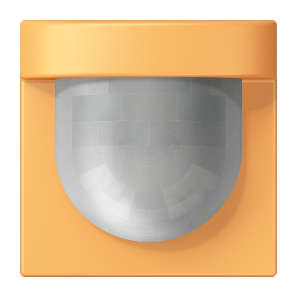 Jung Management Bewegungsmelder LC17280254