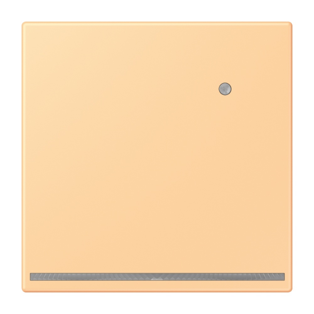 Jung LED Orientierungslicht LC1539-OLNW258