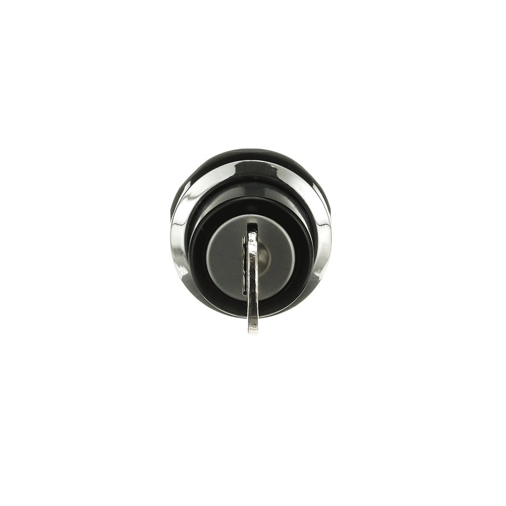 ABB Frontelement für Wahlschalter 1SFA611281R3001 Typ M2SSK2-301