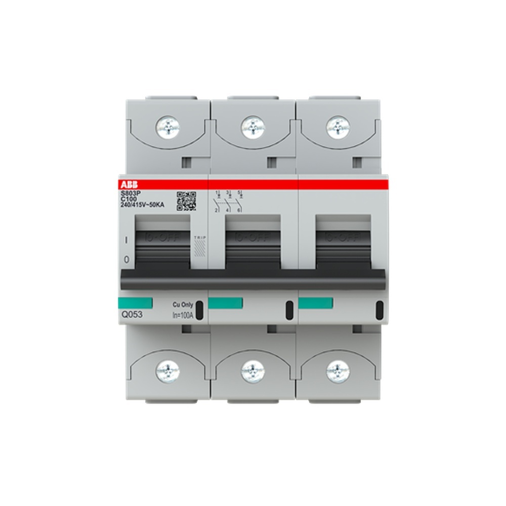 ABB Hochleistungs Sicherungsautomat 2CCG001233R0001 Typ S803P-C100