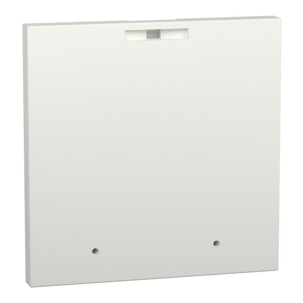 Schneider Electric Frontplattenblindabdeckung LVS03907